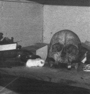 Robert Sheldon skull