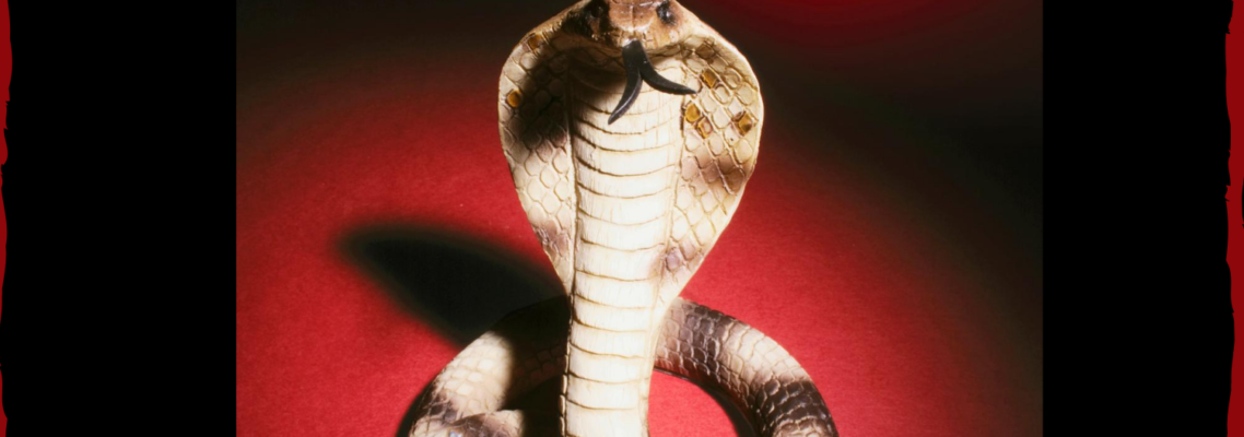 Rattlesnakes James Podcast