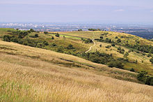 Werneth Low Where Suzanne Capper was Burned