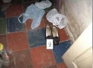 Victim's shoes found in Vlado's cottage